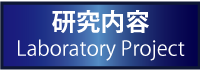 研究内容