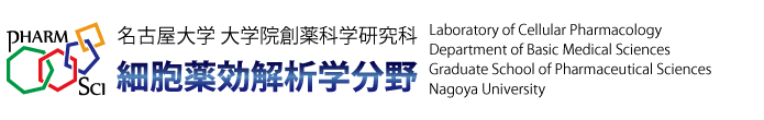 細胞薬効解析学分野