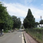 見えてきました